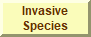 Portal for Invasive Species Information